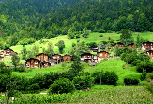 rize-3