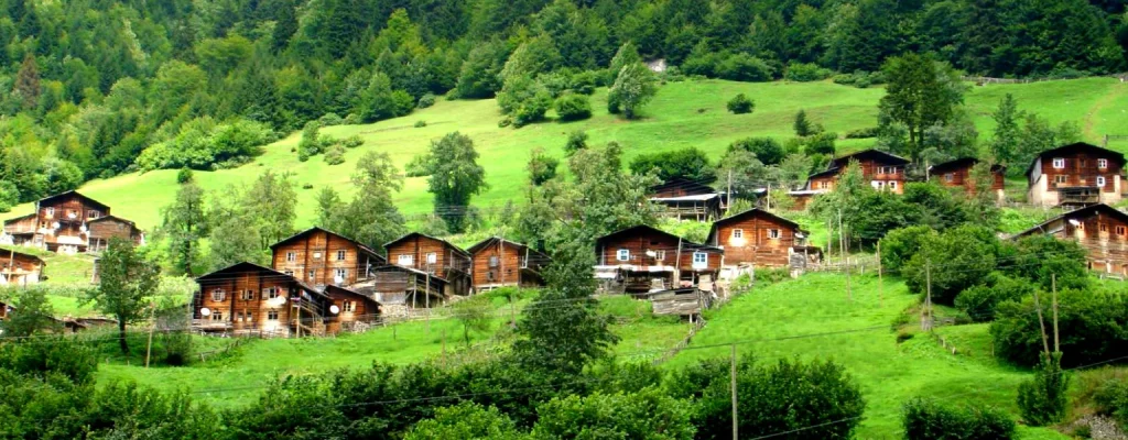 rize-3